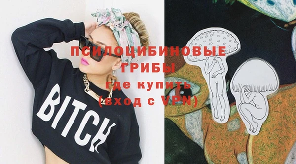 прущие грибы Покров