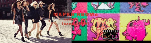 стафф Баксан