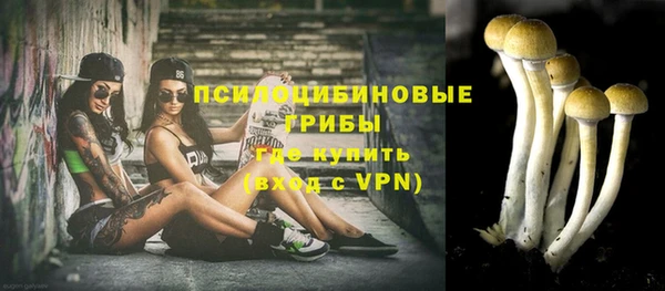 стафф Баксан