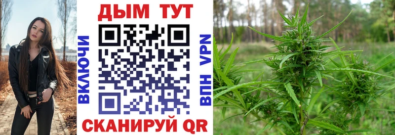 где купить наркотик  Бирюсинск  Бошки марихуана планчик 